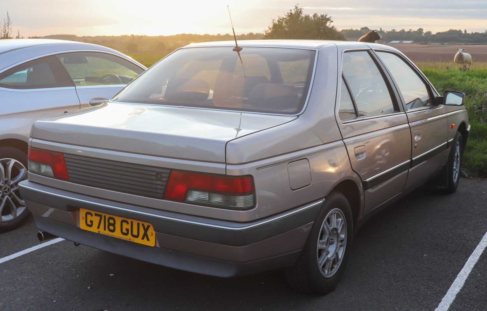 Rear view of classic 1980s sedan with distinctive tail lights and alloy wheels