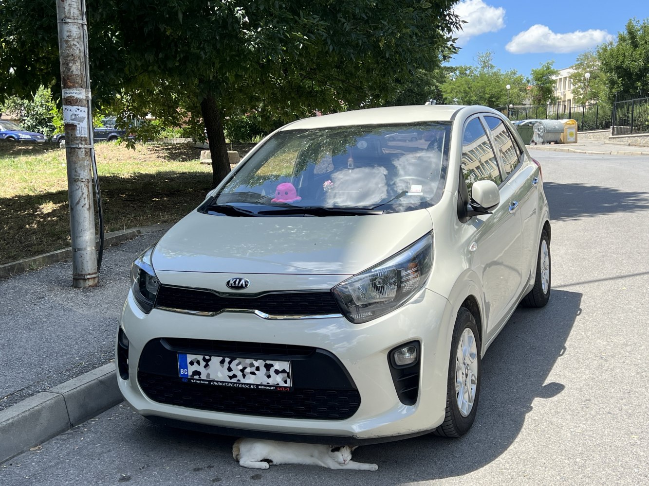 Compact hatchback with angular headlights and wide grille front view