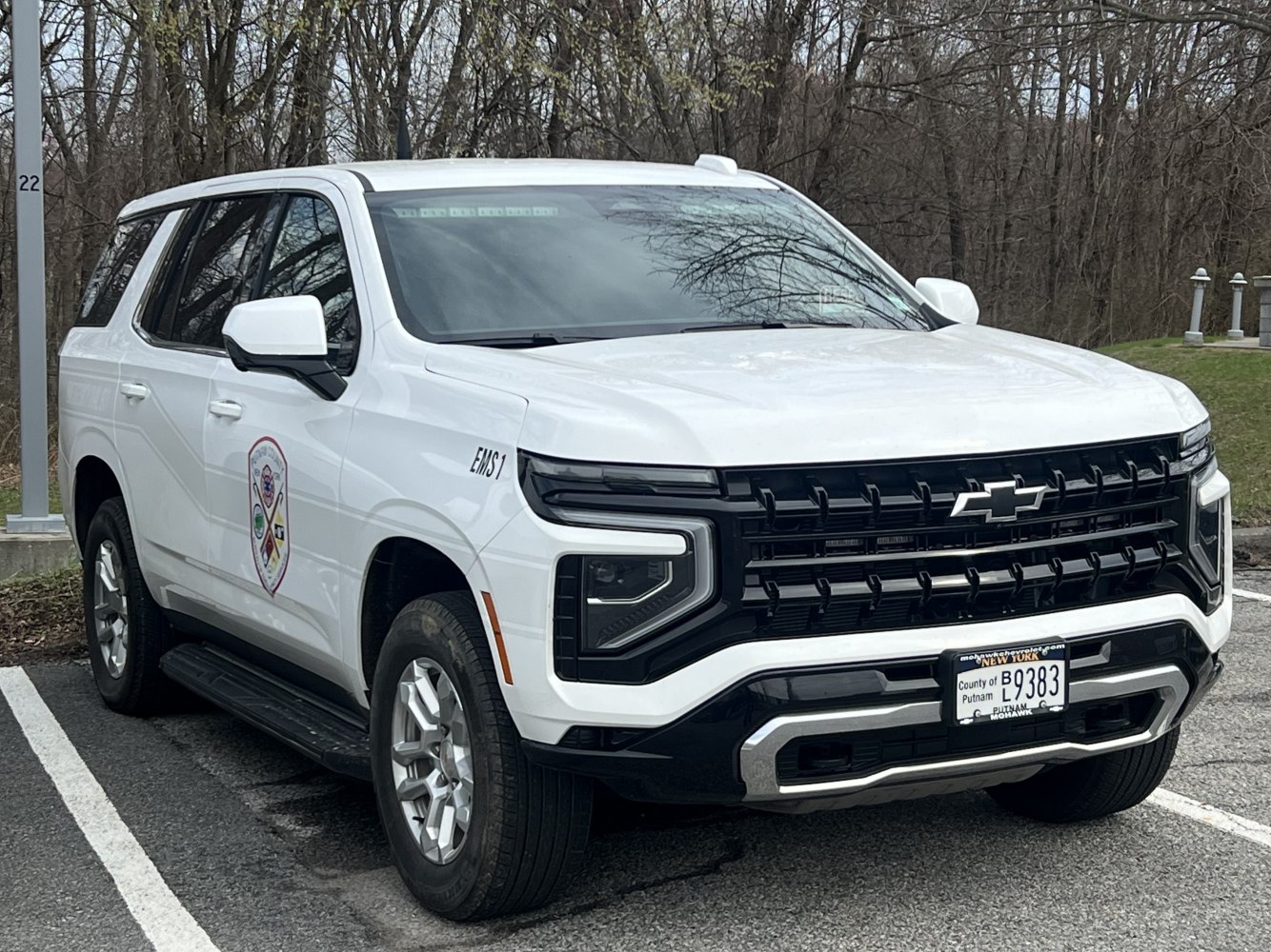 Bold front grille with integrated LED headlights and rugged side steps