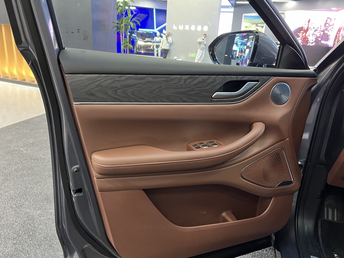 Interior door panel with leather, wood trim, and speakers