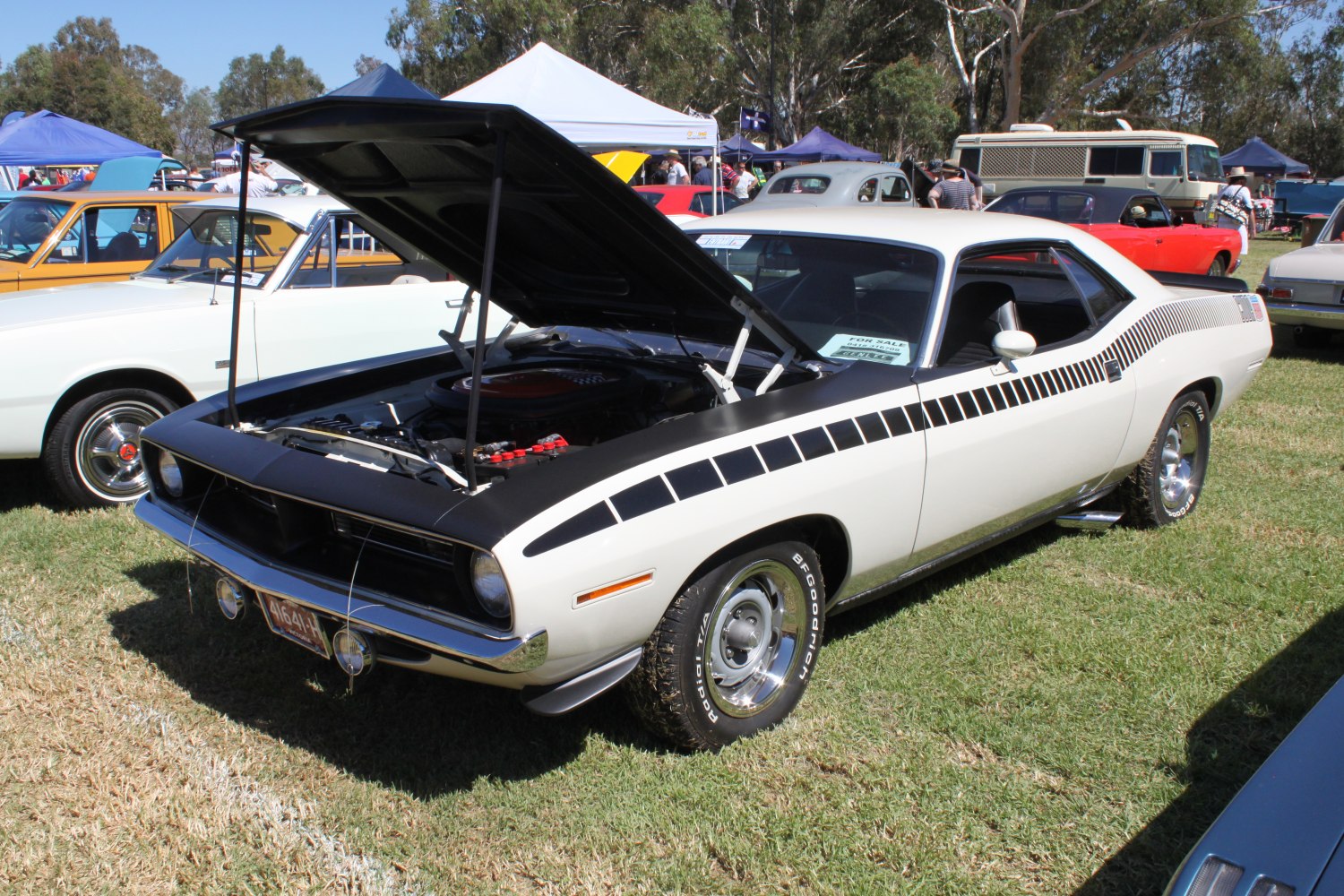 Muscle car with open hood and racing stripes