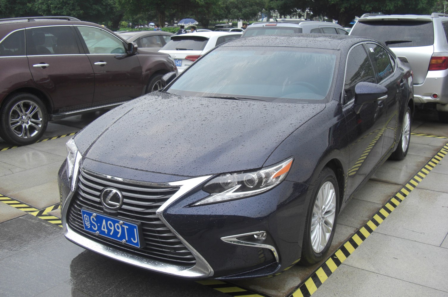 Front view of luxury sedan with spindle grille and sleek headlights