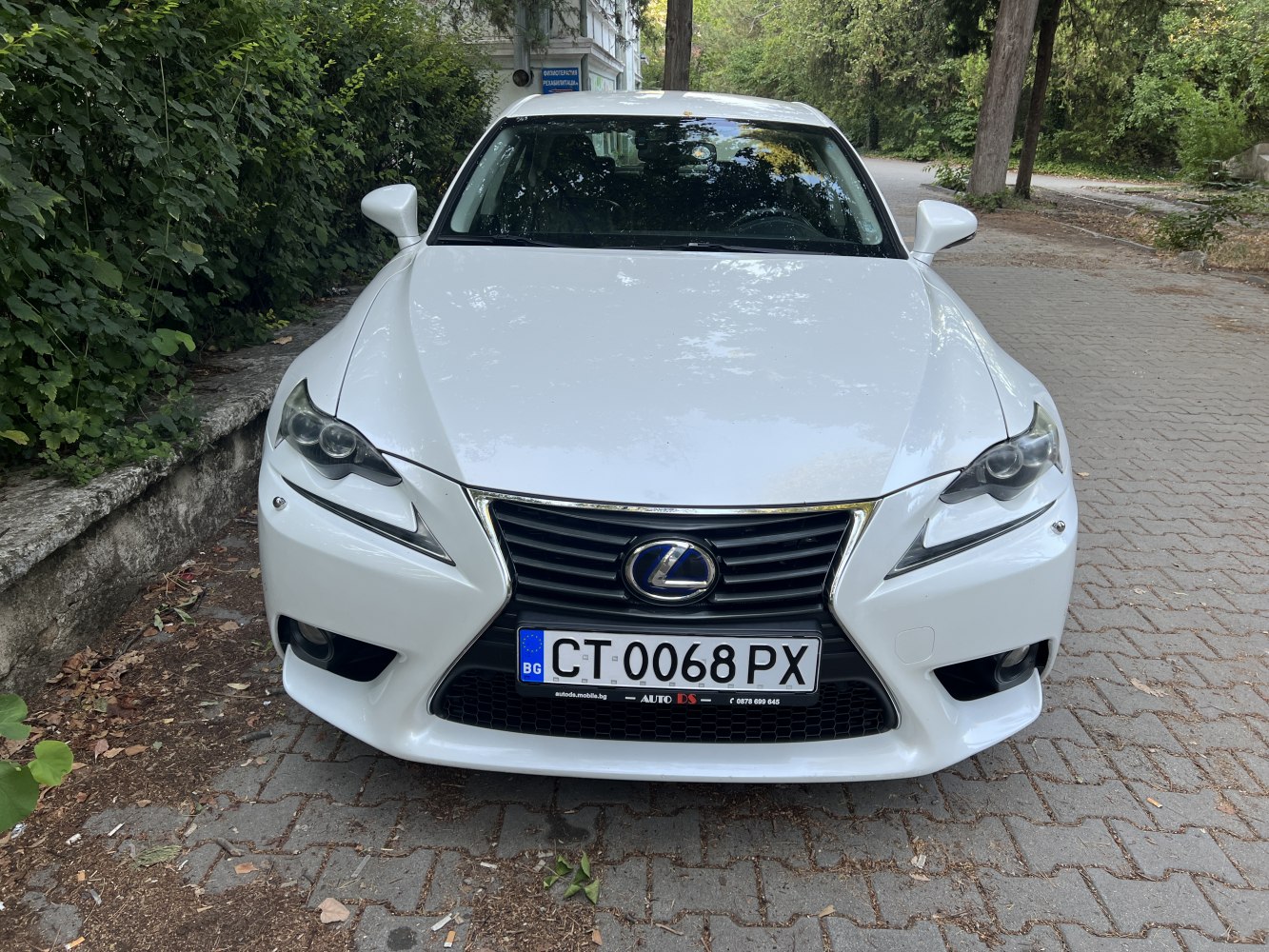 Front view with spindle grille and aggressive headlights