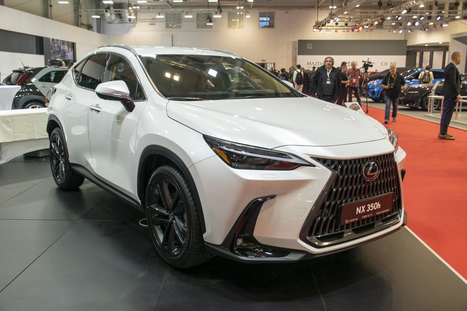 Front view of sharp headlight and large spindle grille design