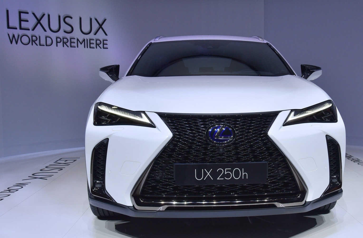 Front view of hybrid SUV with distinctive spindle grille and LED headlights