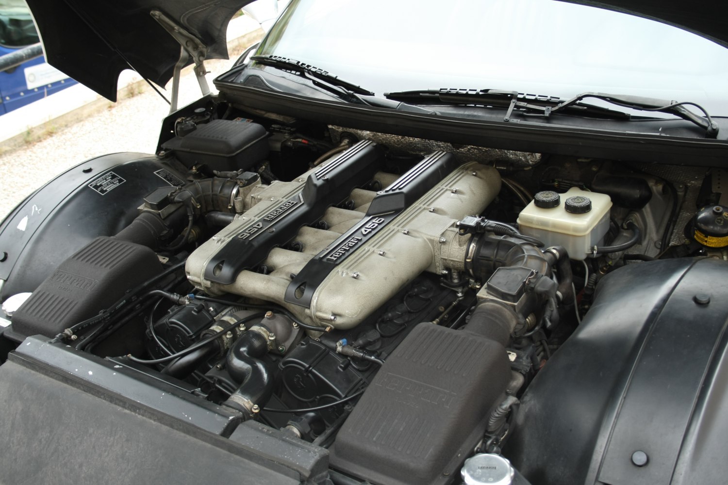 Close-up of Ferrari 456 V12 engine bay and mechanical components