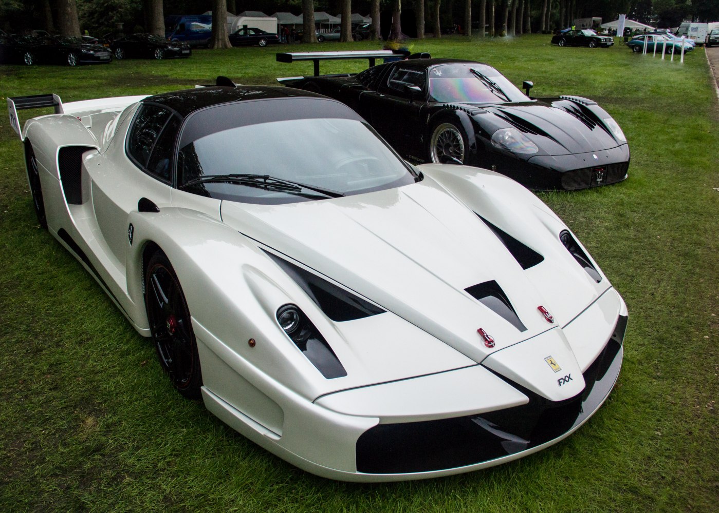Aerodynamic high-performance racing prototypes parked on grass