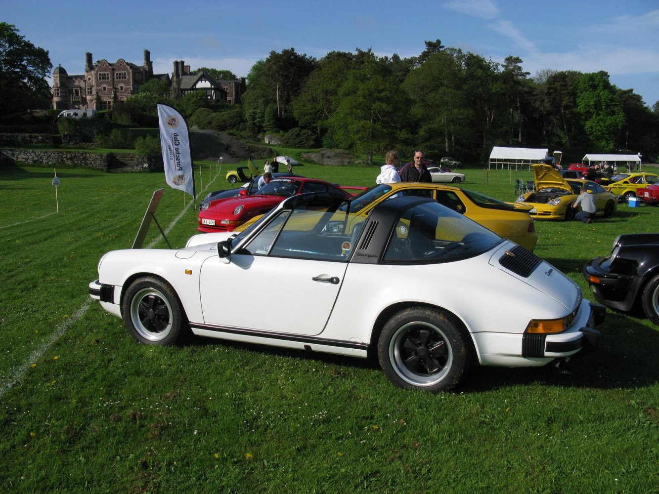 White classic sports coupe with Targa roof parked on grassy field
