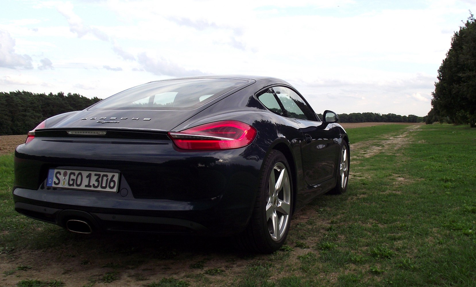 Rear view with sleek tail lights and sporty coupe design.