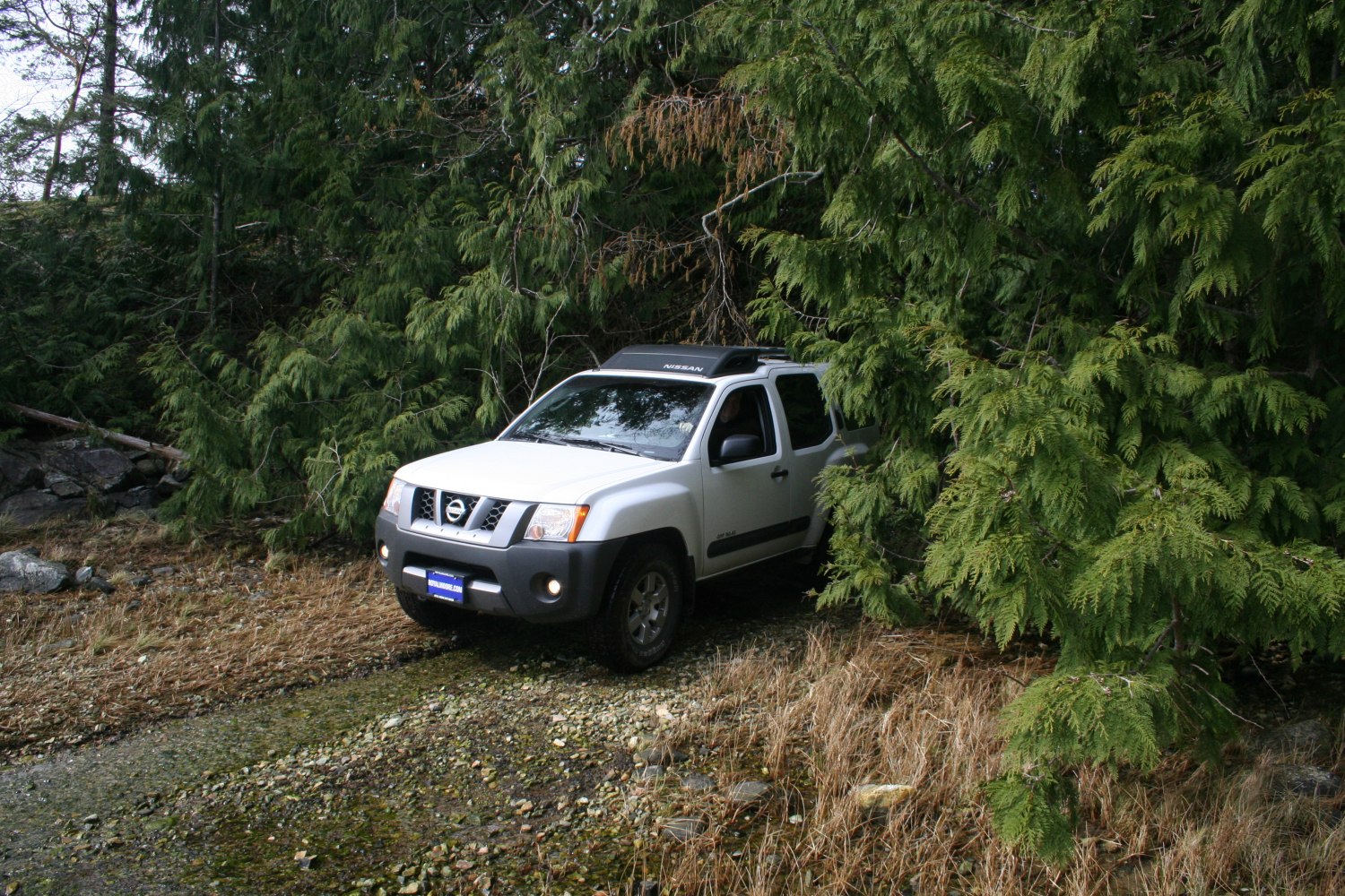SUV navigating rocky forest path with rugged off-road features.