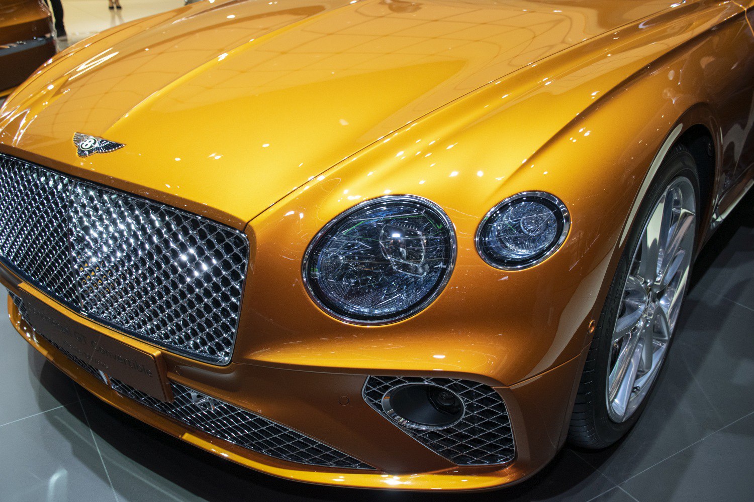 Close-up of grille, circular headlights, and front fascia design