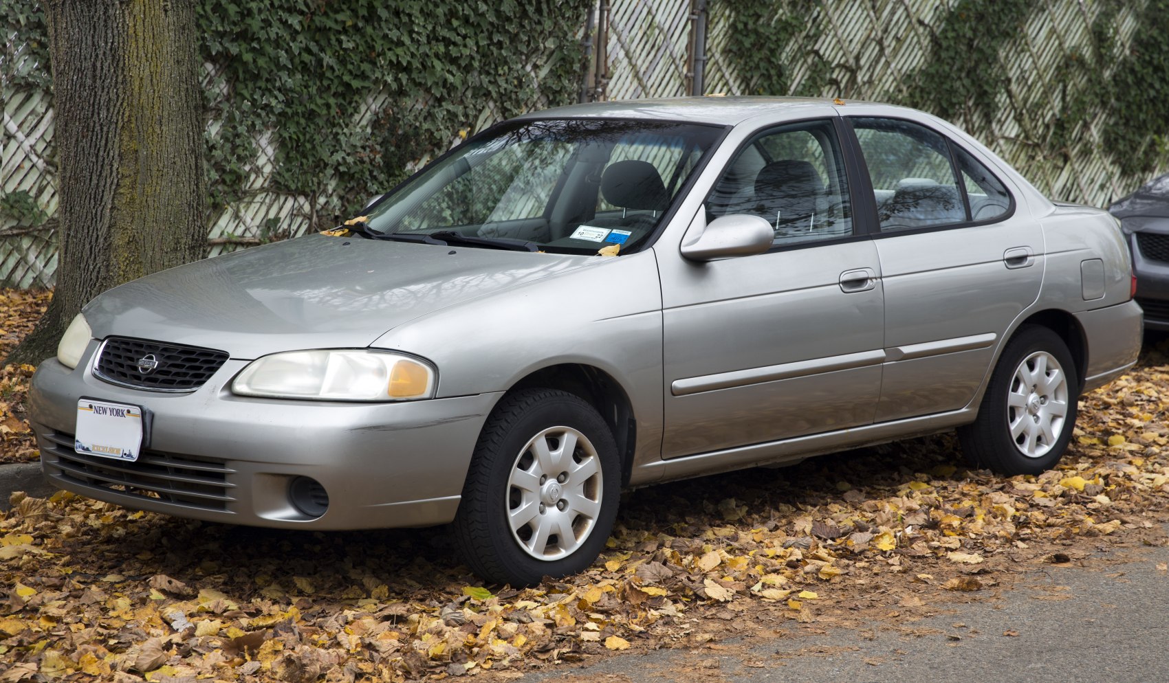 Silver sedan front side with alloy wheels on leaf-covered ground