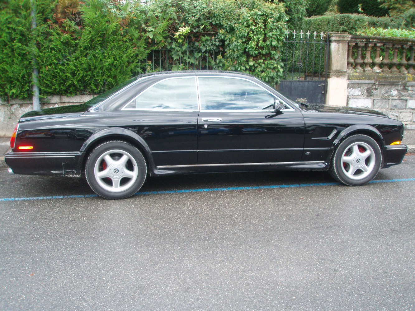 Luxury two-door coupe with alloy wheels and sleek side profile