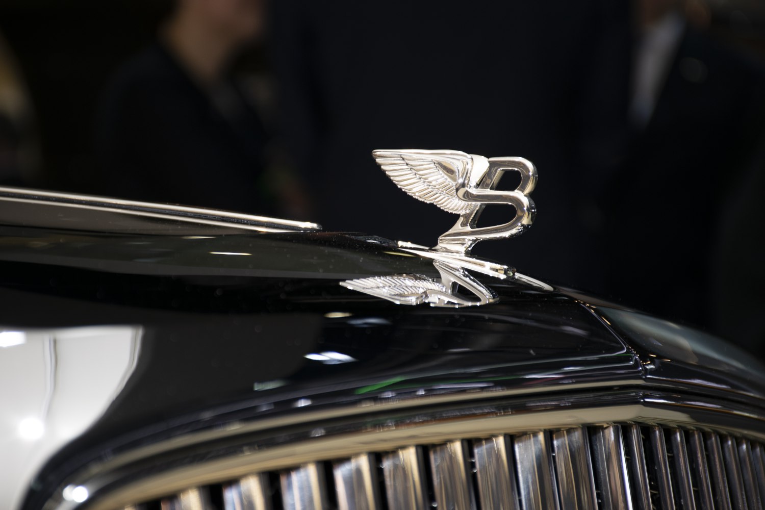 Close-up of shiny winged 'B' emblem and chrome grille