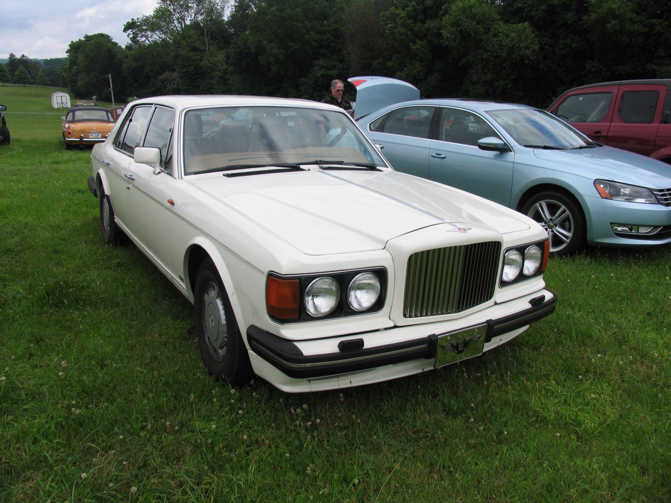 Luxury sedan front view with iconic grille and dual headlights