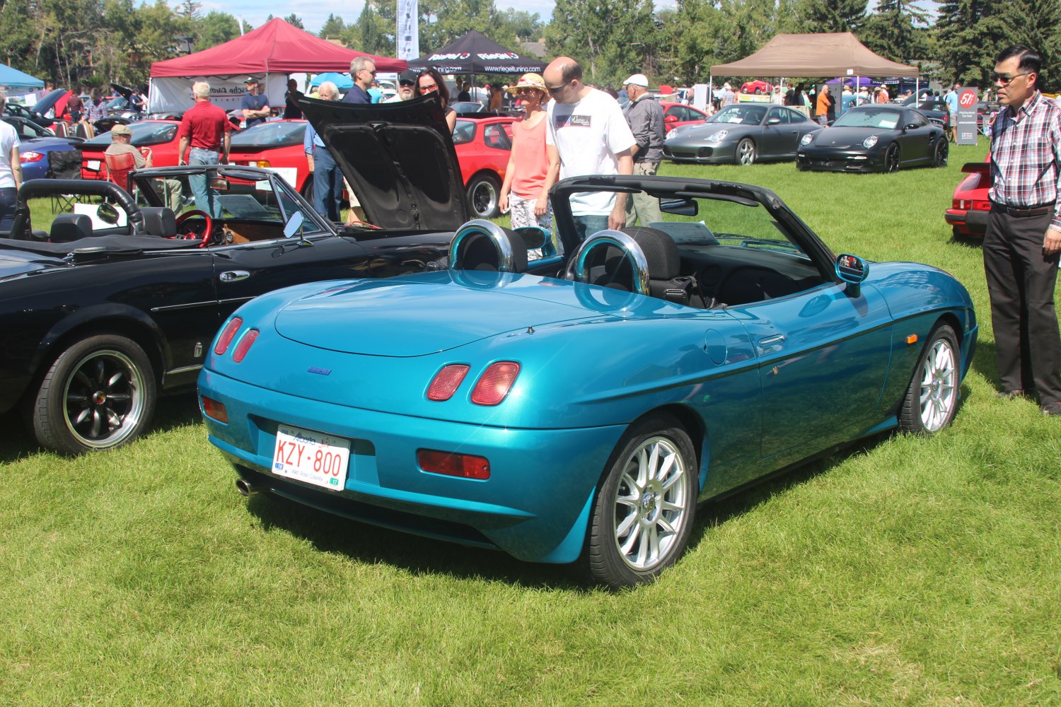 Rear view of blue convertible with dual roll hoops and distinct tail lights