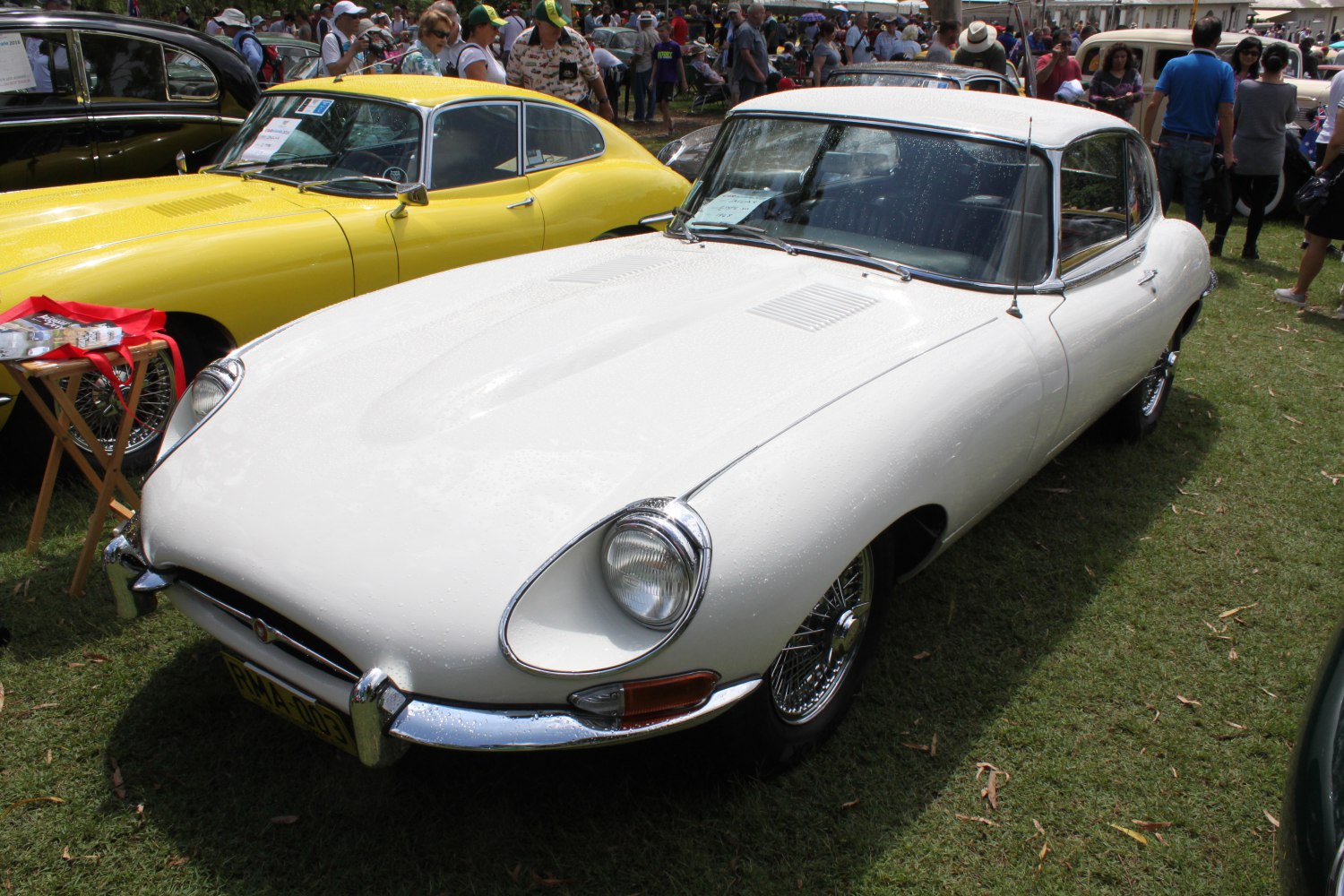 Classic car front with round headlights and chrome bumper.