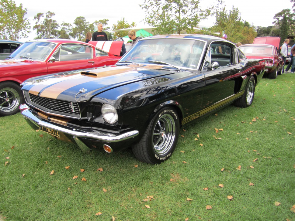 Black vintage muscle car with gold racing stripes and fastback design