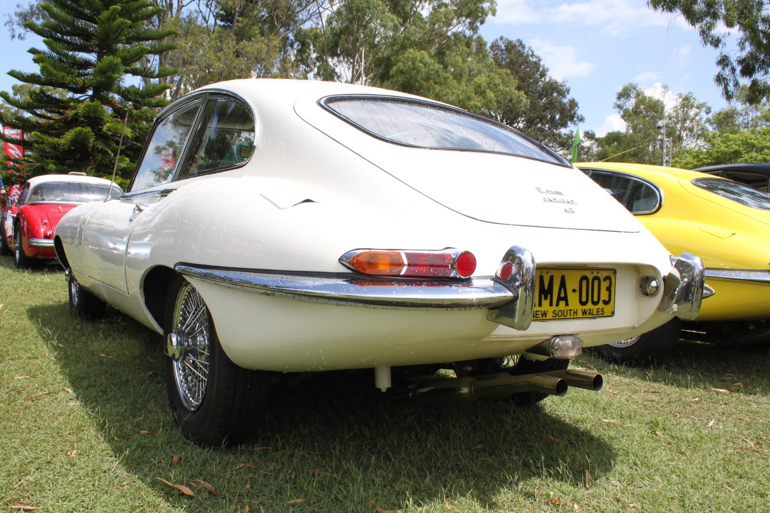 Classic 1960s luxury sports coupe rear with wire wheels and chrome bumper
