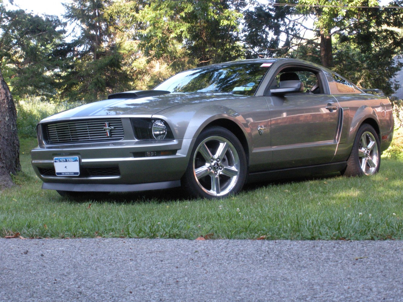 Hood scoop and chrome wheels on Mustang coupe parked on grass