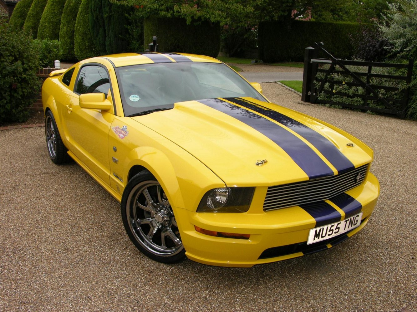 Yellow sports coupe with blue racing stripes and aggressive front grille