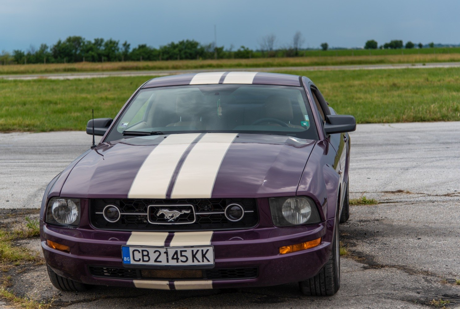 Front view of purple Mustang with white racing stripes and iconic emblem