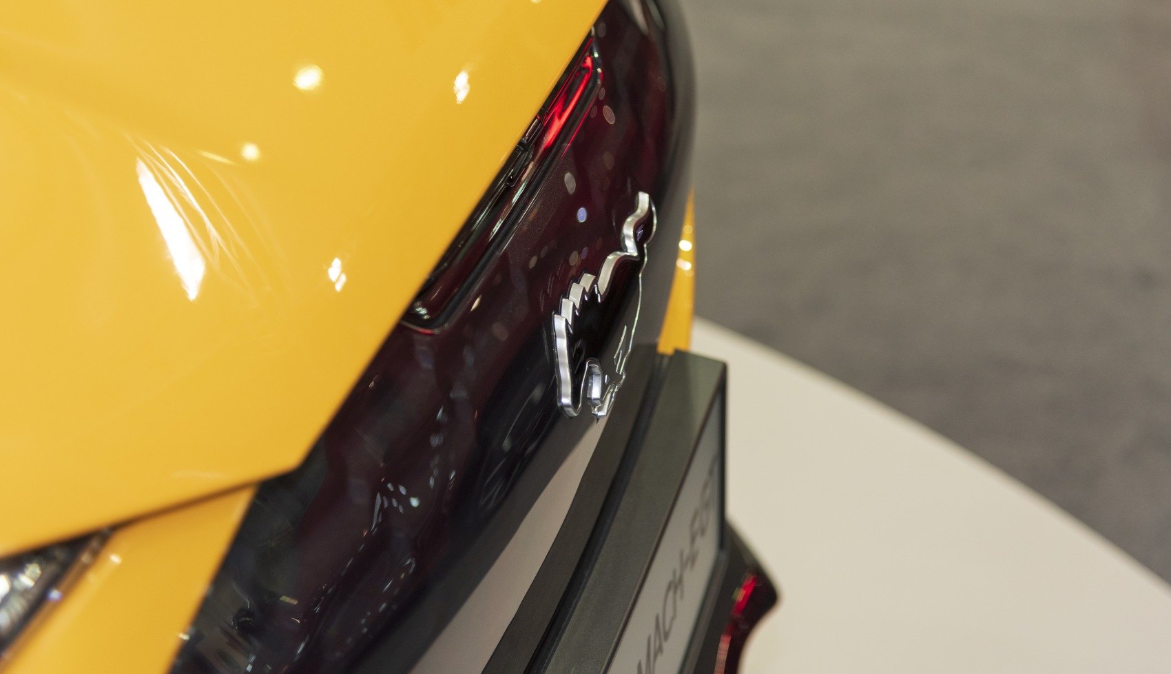 Close-up of rear emblem and tail light