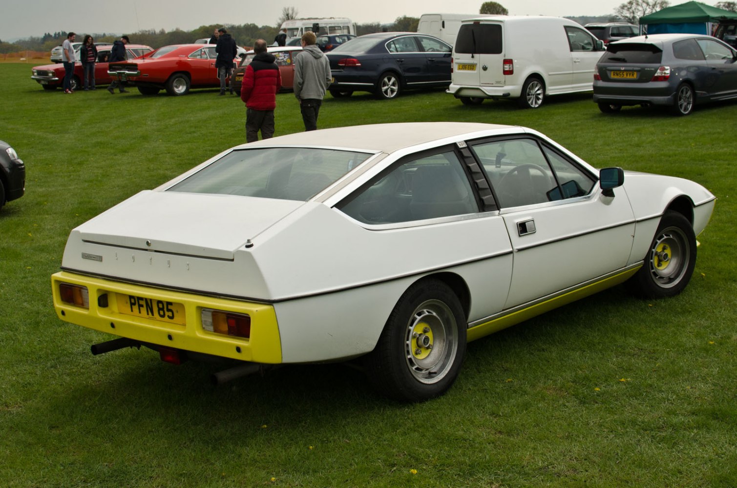Classic hatchback rear side view with rear lights and sloping roofline