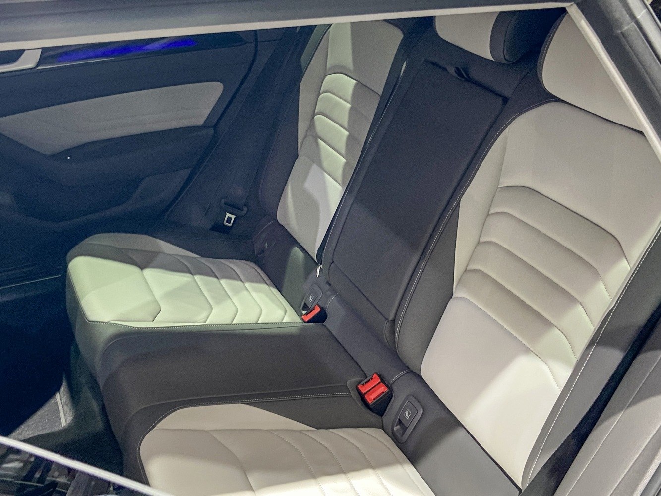 Two-tone leather rear seats with seat belts and door panel