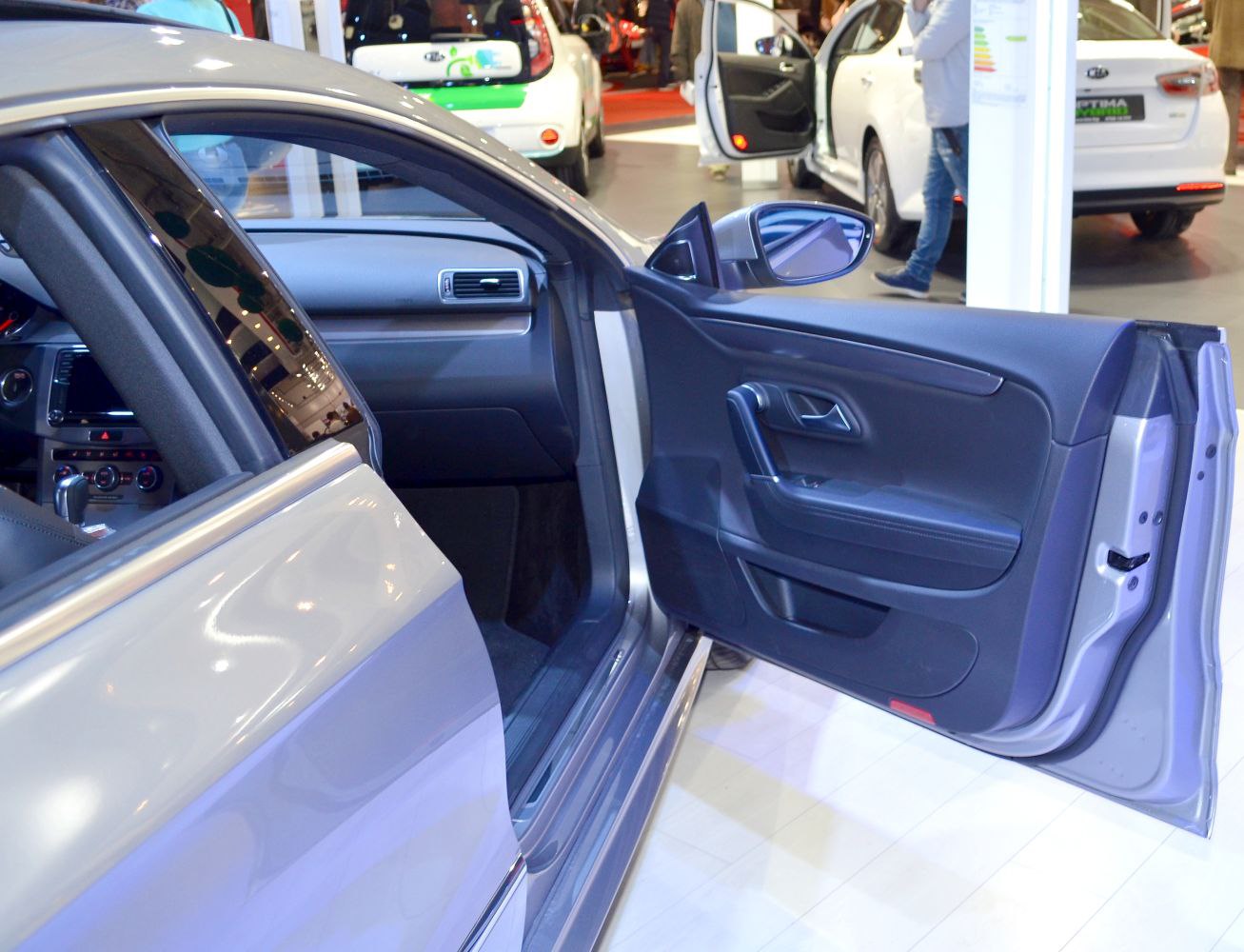 Interior door panel and side mirror of a car