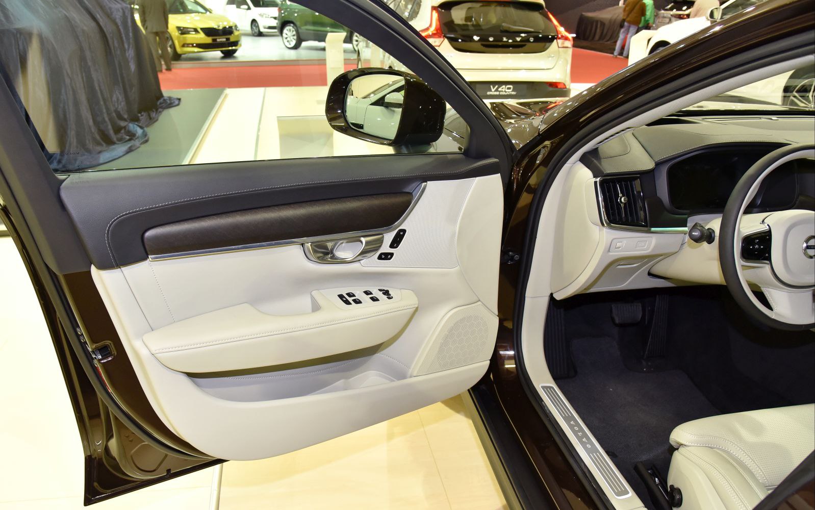 Interior driver side door panel and dashboard controls