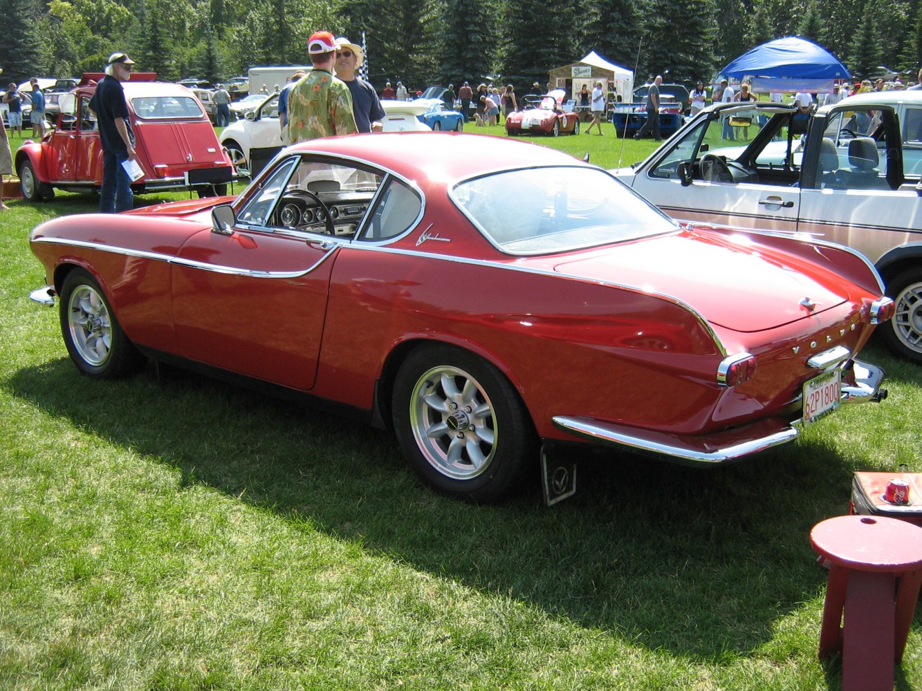 Vintage sporty coupe with chrome trim and rear emblem on grass.