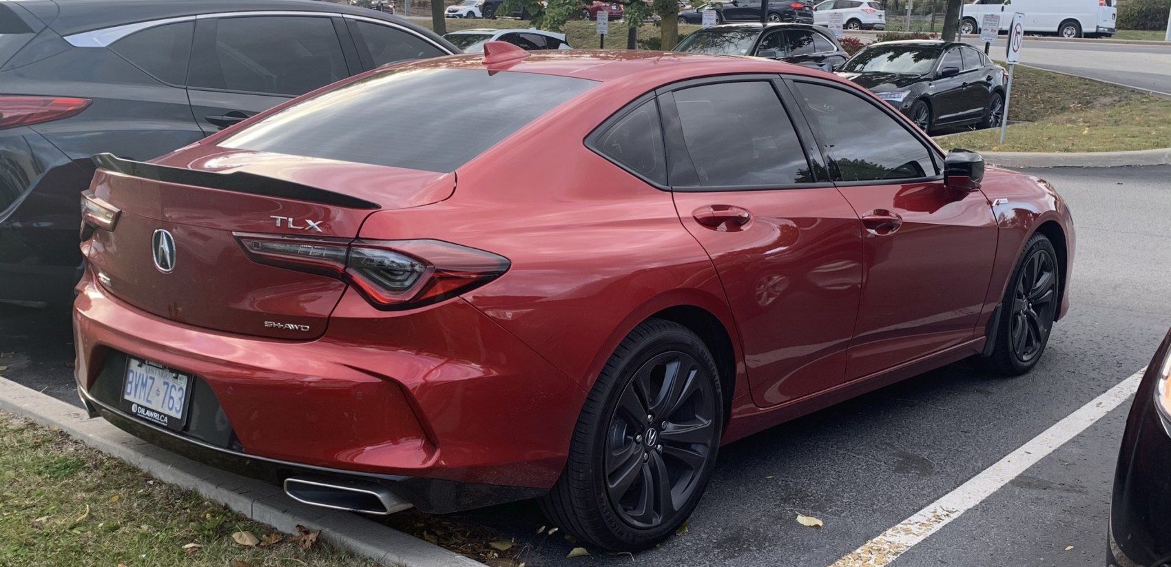 Sporty compact sedan rear with spoiler and dual exhaust
