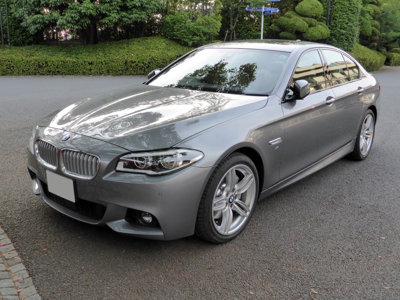 Front-left view of a sleek hybrid sedan with kidney grille and alloy wheels