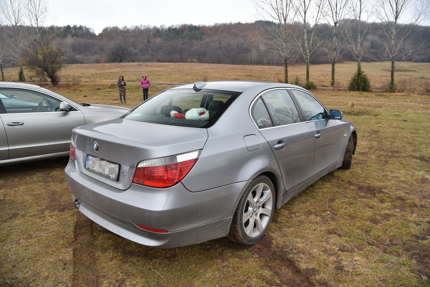 Rear view of a silver sedan with distinct taillights on grass terrain.