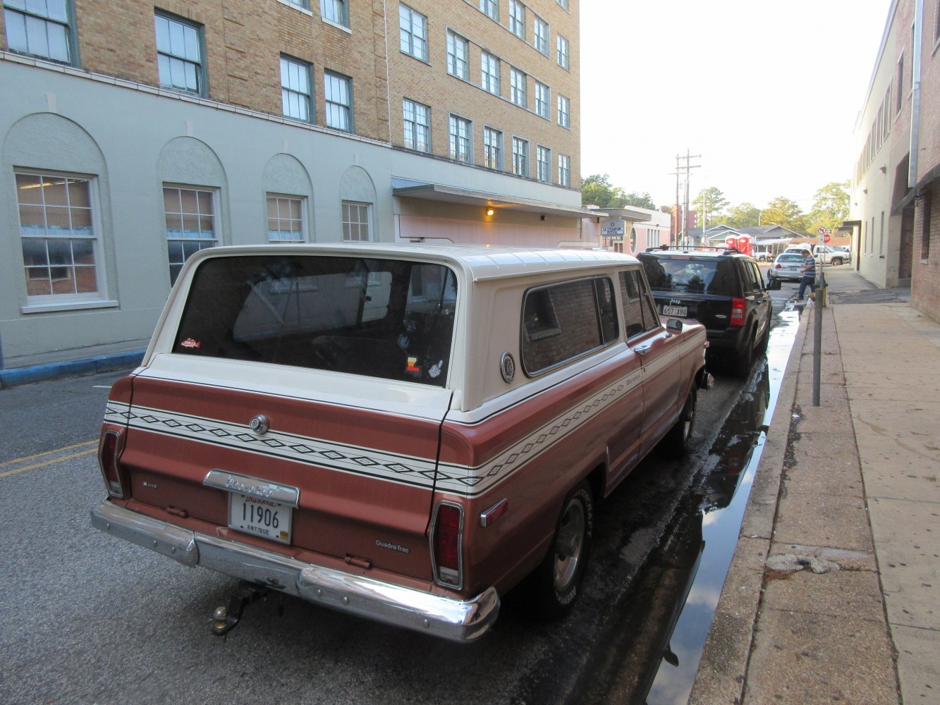 Classic SUV rear view with two-tone roof and distinctive side stripe.