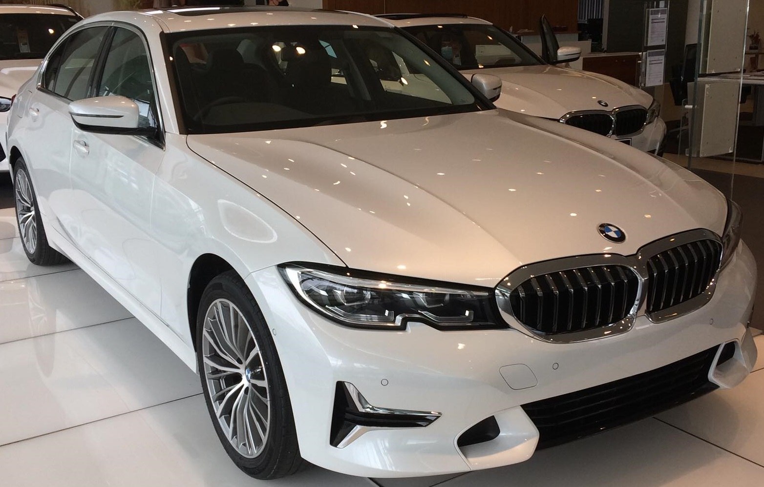 Front view including headlights and kidney grille of a luxury sedan.