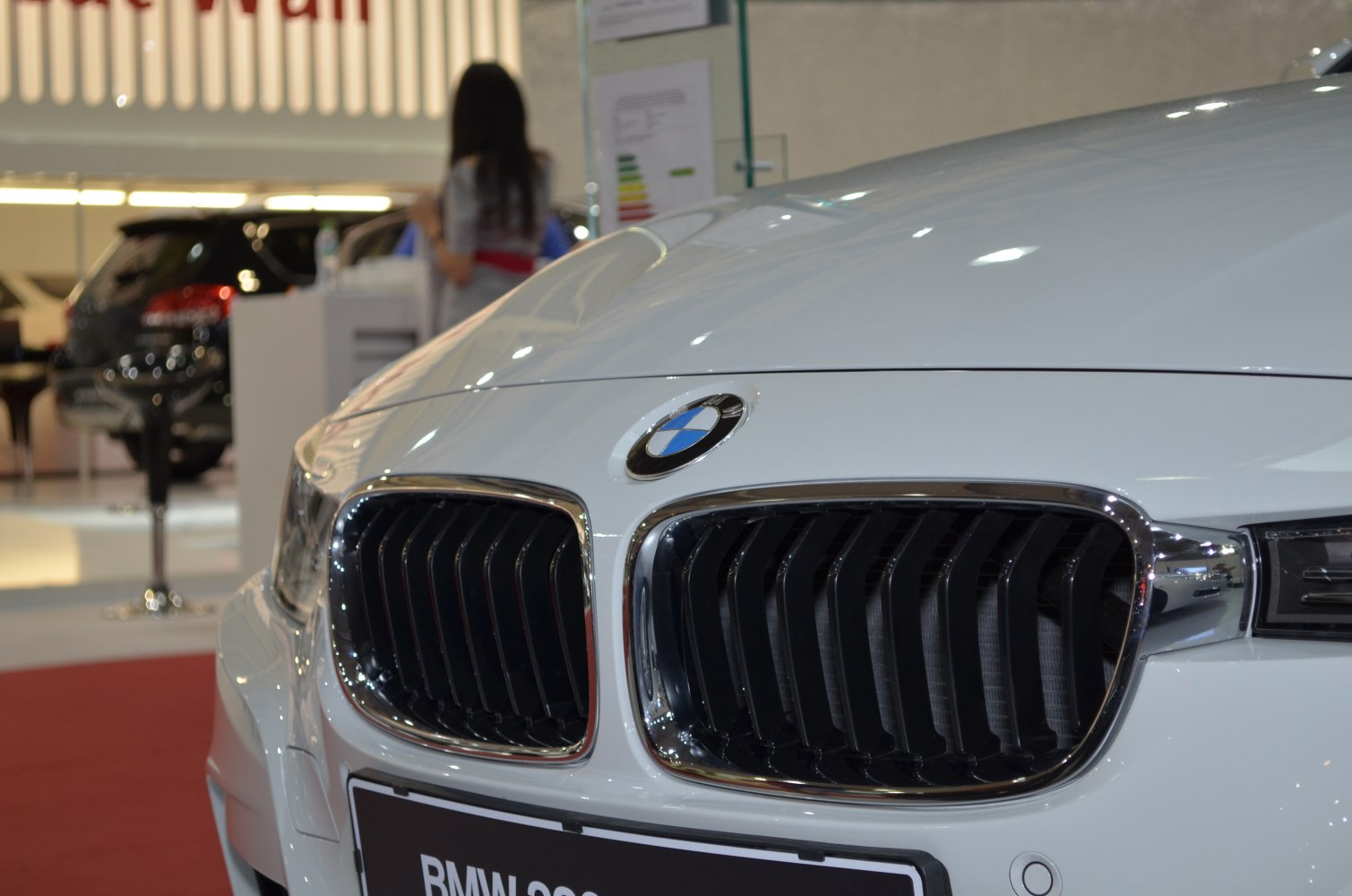 Close-up of BMW kidney grille and hood emblem
