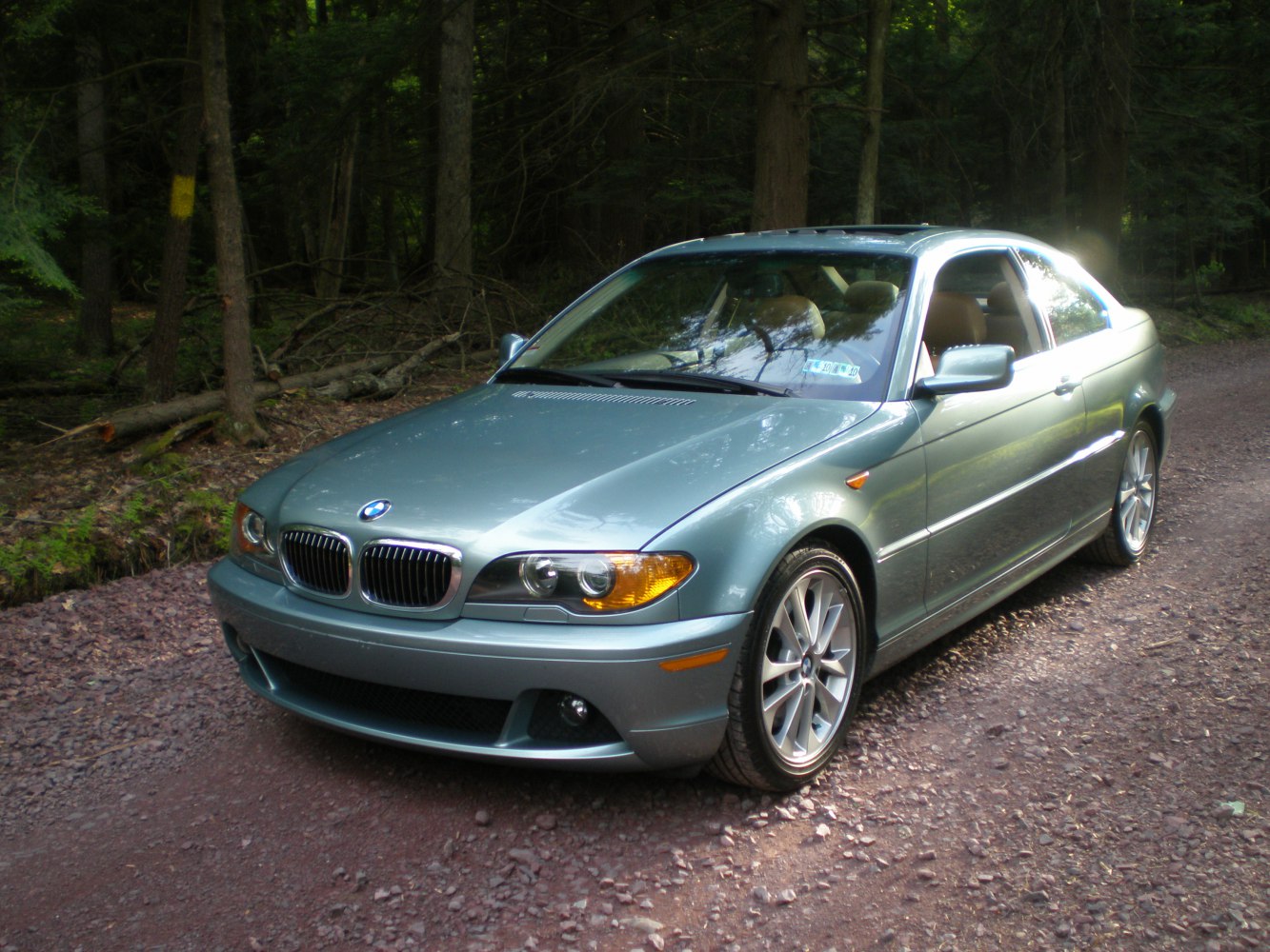 Front and side view of a facelift coupe on forest path with detailed headlights and alloy wheels.