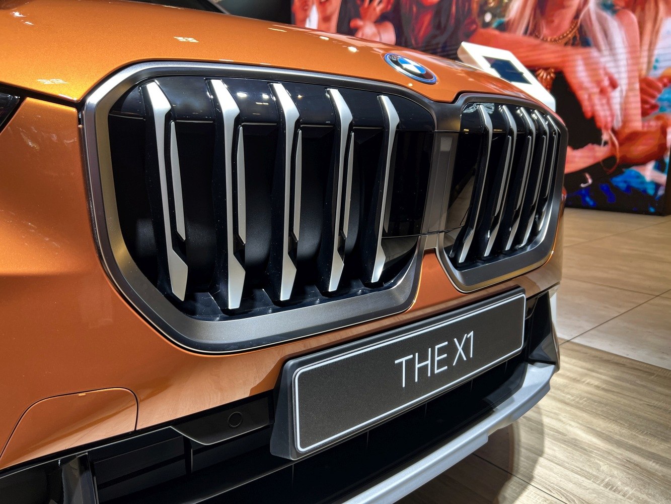 Close-up of the BMW kidney grille and front badge on a car.