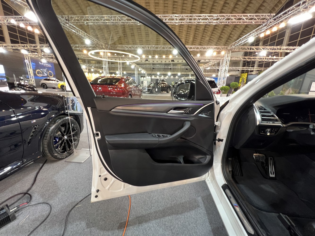 BMW X3 interior door panel and driver's cabin view