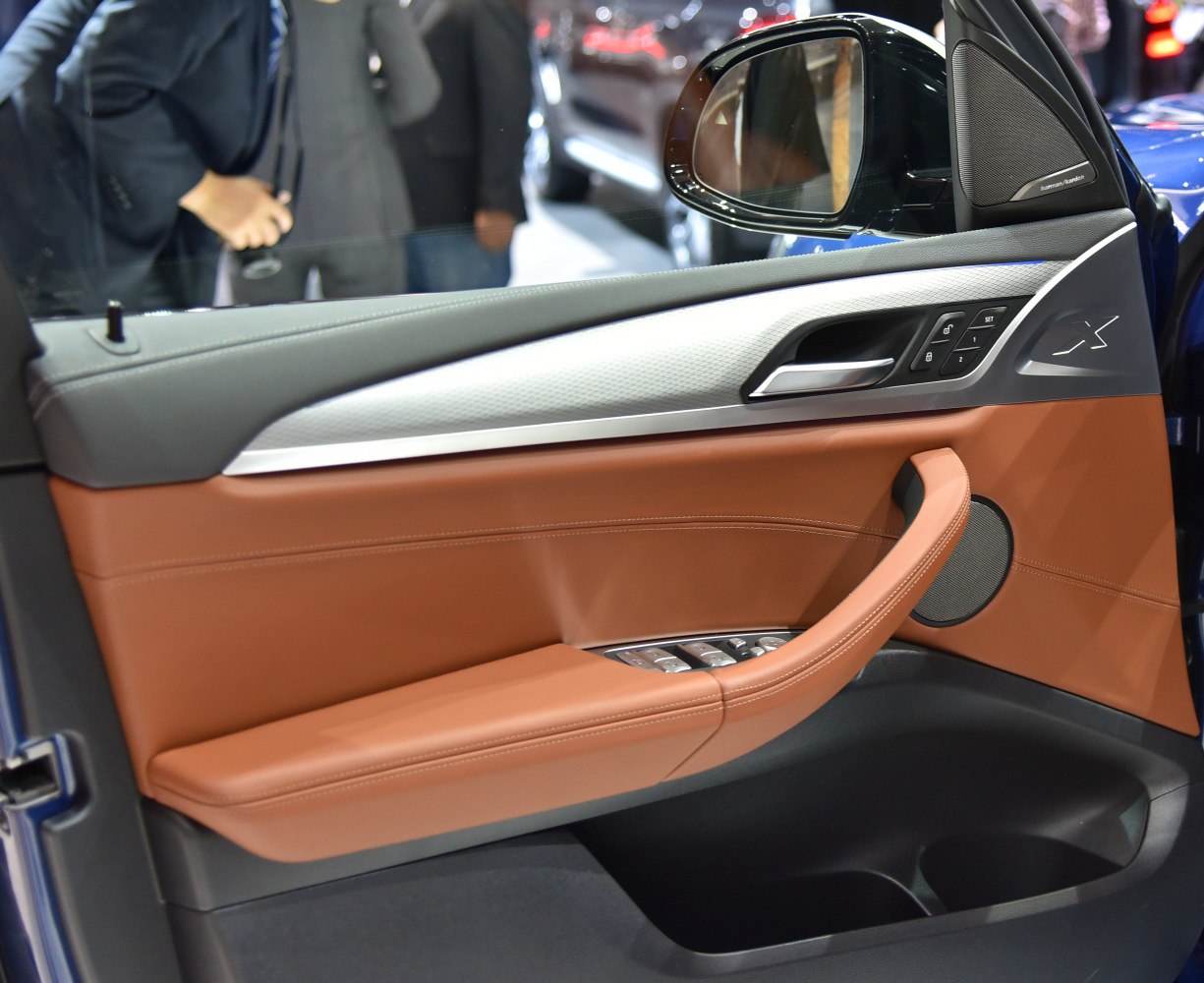Leather interior door panel with controls and side mirror