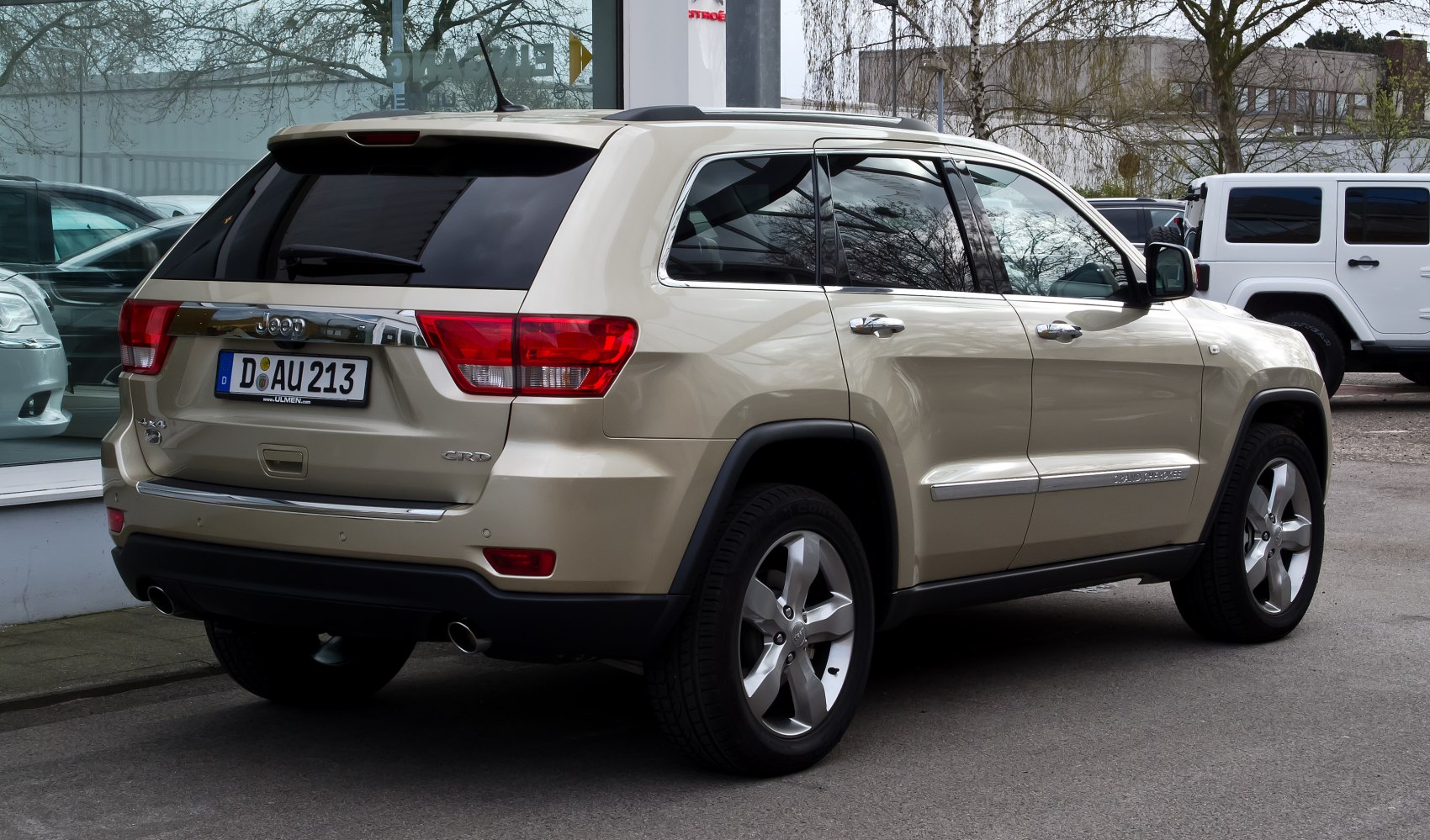 Rear and side view of robust SUV with distinctive tail lights and alloy wheels