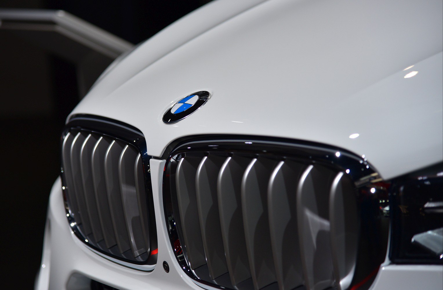 Close-up of BMW kidney grille and emblem on white hood