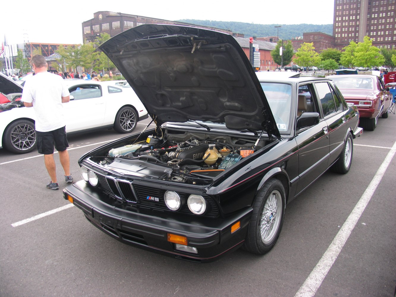 Classic BMW E28 M5 engine bay with open hood and alloy wheels