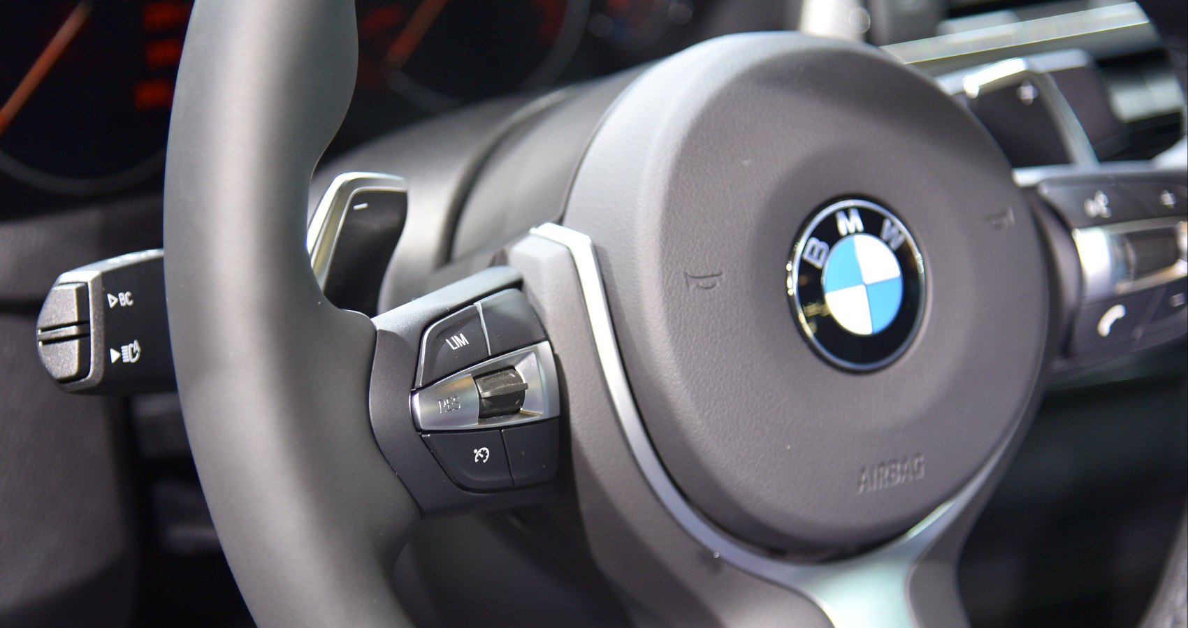 Steering wheel with cruise control buttons and paddle shifter