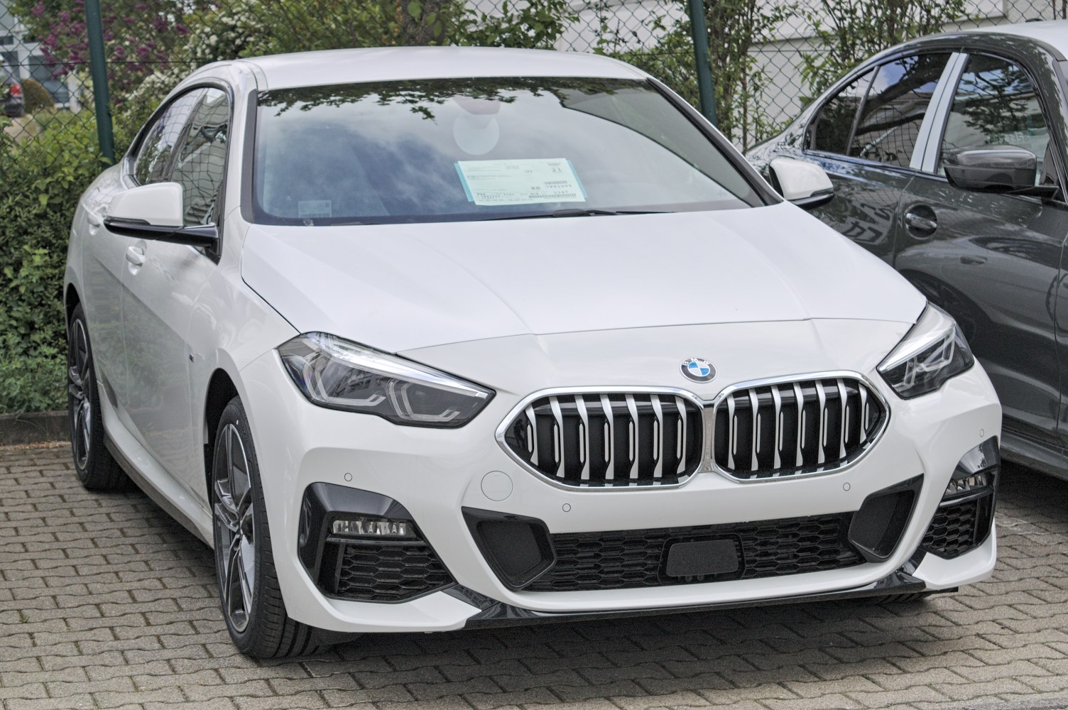Front view with kidney grille and LED headlights