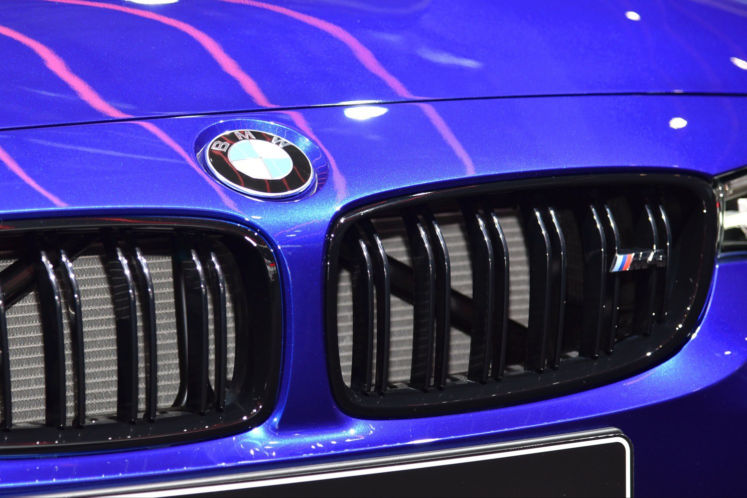 Close-up of BMW front kidney grille and emblem in blue