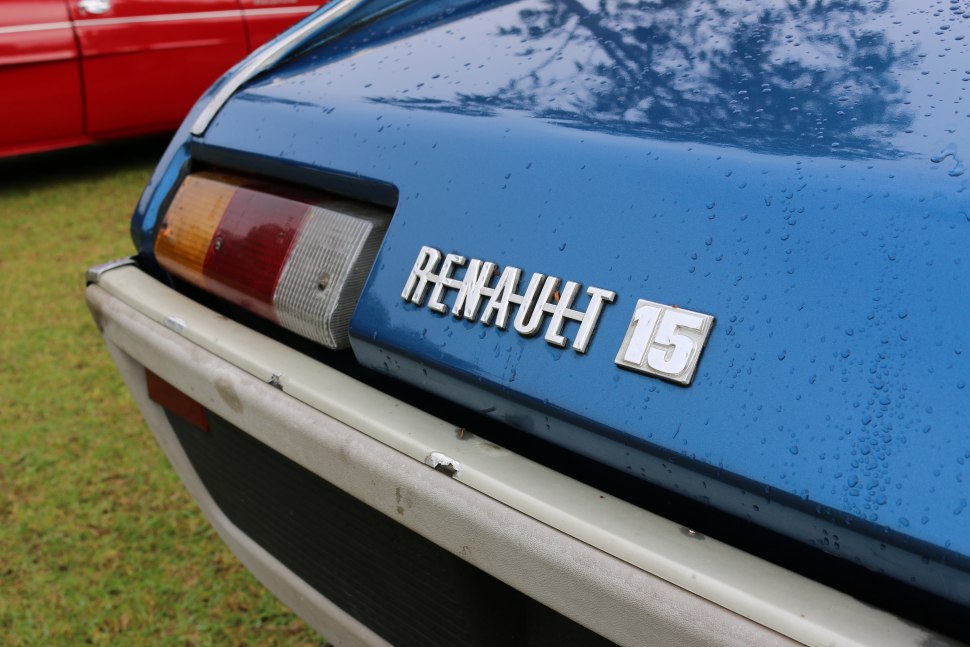 Close-up of rear badge and tail light on vintage car