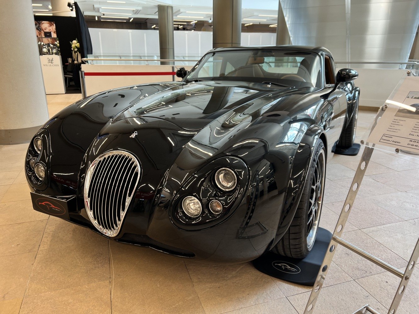 Glossy black sports coupe with oval front grille and dual round headlights